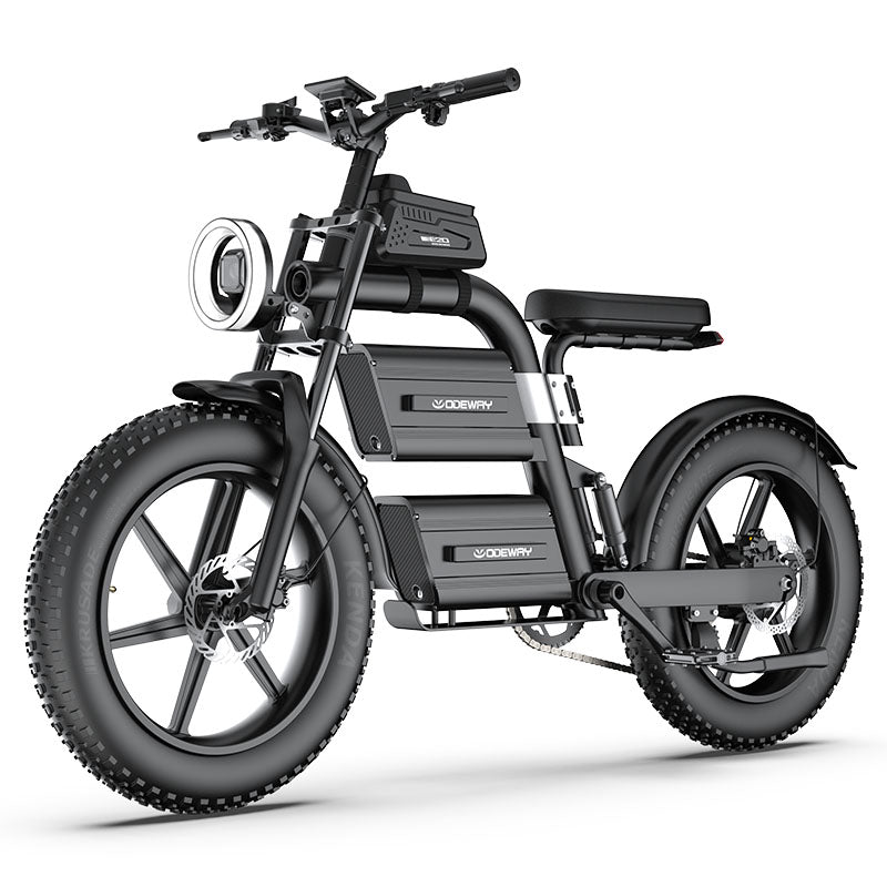 Odeway E20 Dual Battery Electric Bike 20 Inch Fat Tire Off Road Ebike 2000W 60V Powerful Mountain Electric Bicycle