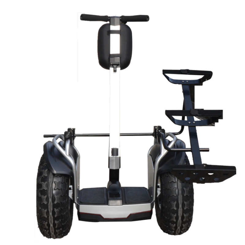 Readygo Long Range 20 inch Fat Tire Off-Road Golf Balance Scooter