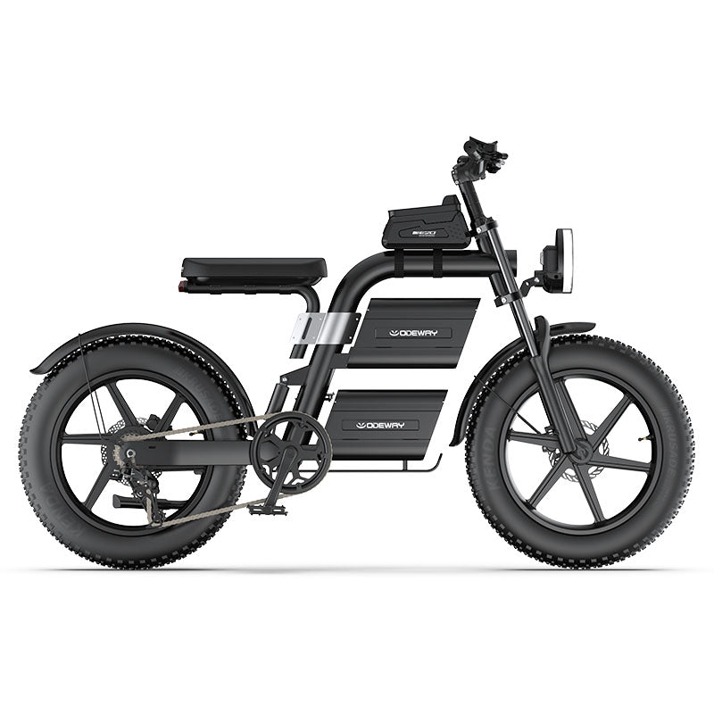 Odeway E20 Dual Battery Electric Bike 20 Inch Fat Tire Off Road Ebike 2000W 60V Powerful Mountain Electric Bicycle