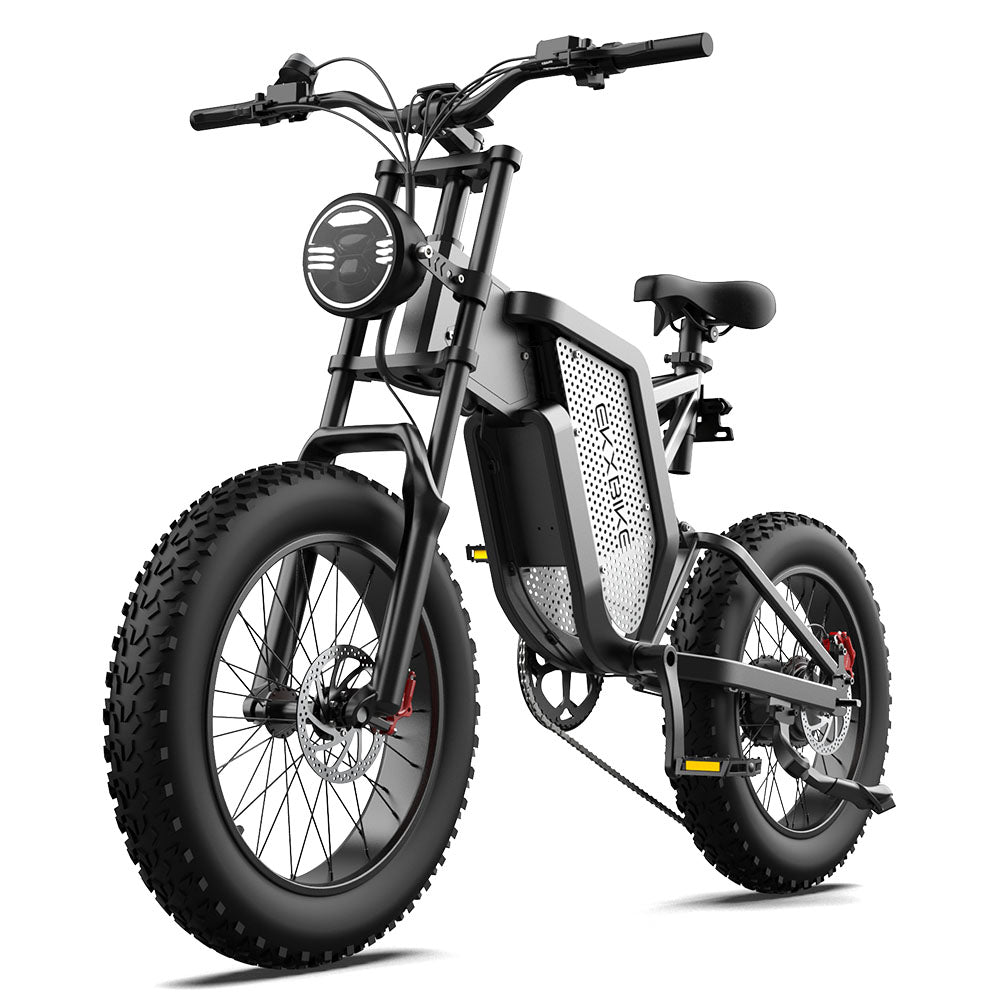 EKXBike X20 Electric Bike Mountain Moped Ebike 20 Inch Fat Tire 2000W 48V 35AH Men's Road EBike Electric Bicycle For Adults E Bikes